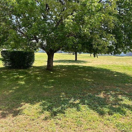 Chez Chris Daire Libourne Dış mekan fotoğraf